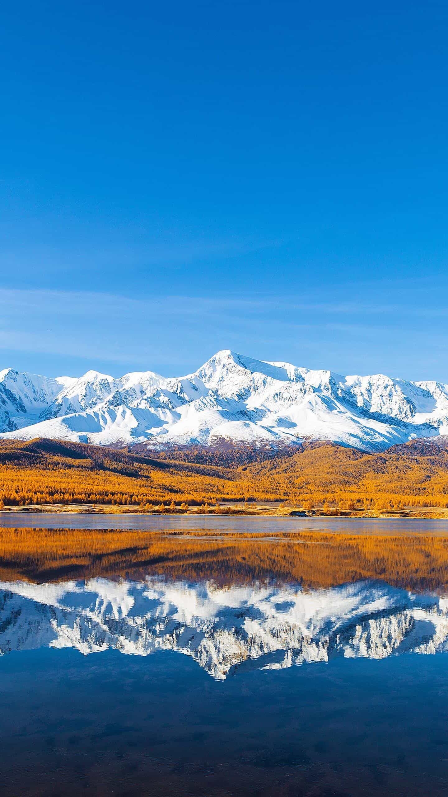 《服务器PT:从零到一,打造你的私人高速下载帝国》